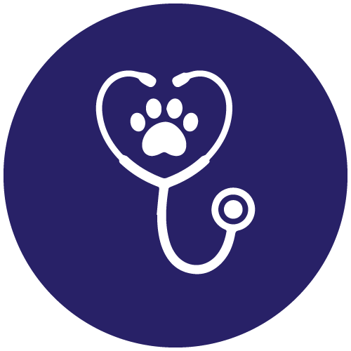 clinicas veterinarias